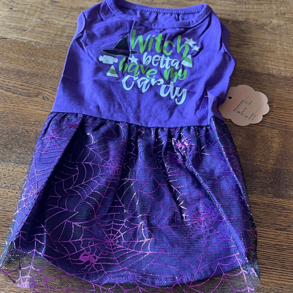 Dog Costume Dress Halloween Witch Better Have My Candy